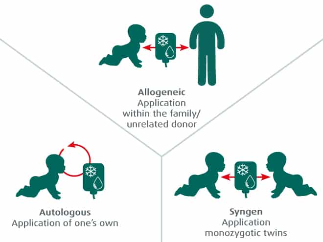 stem-cells-storing-or-donating-transplantation-autolog-allogen