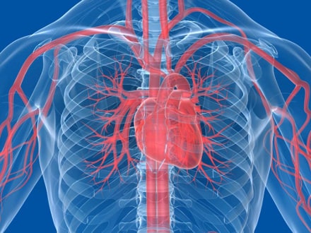 cordblood-medicine-heart-attack